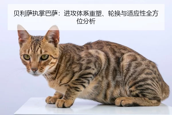 贝利萨执掌巴萨：进攻体系重塑、轮换与适应性全方位分析
